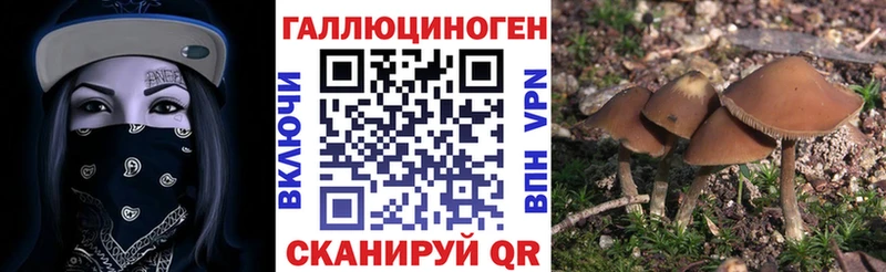 Псилоцибиновые грибы мицелий  Хилок 